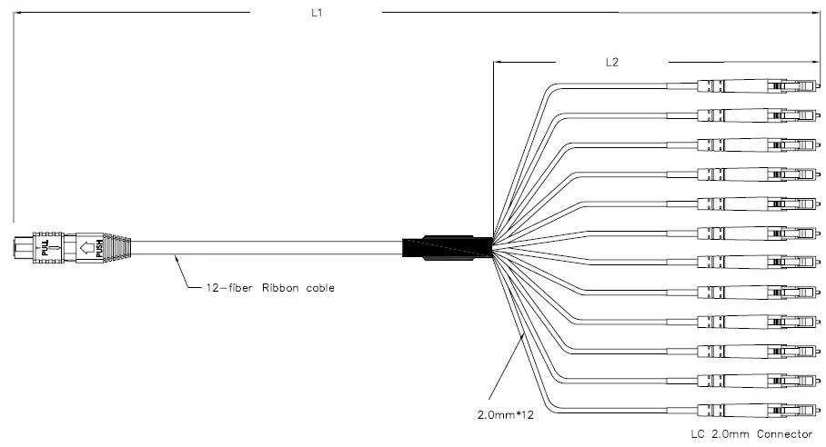 MPO Harness &amp; Fan out Cable Assemblies